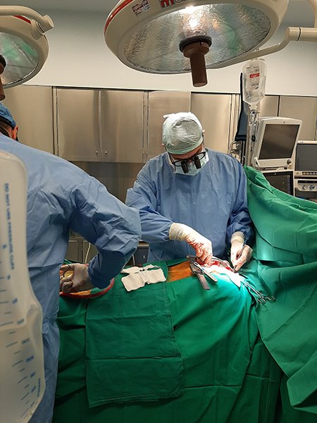 Transaction Surgery SURGERIES - Dr. GRITSOPOULOS